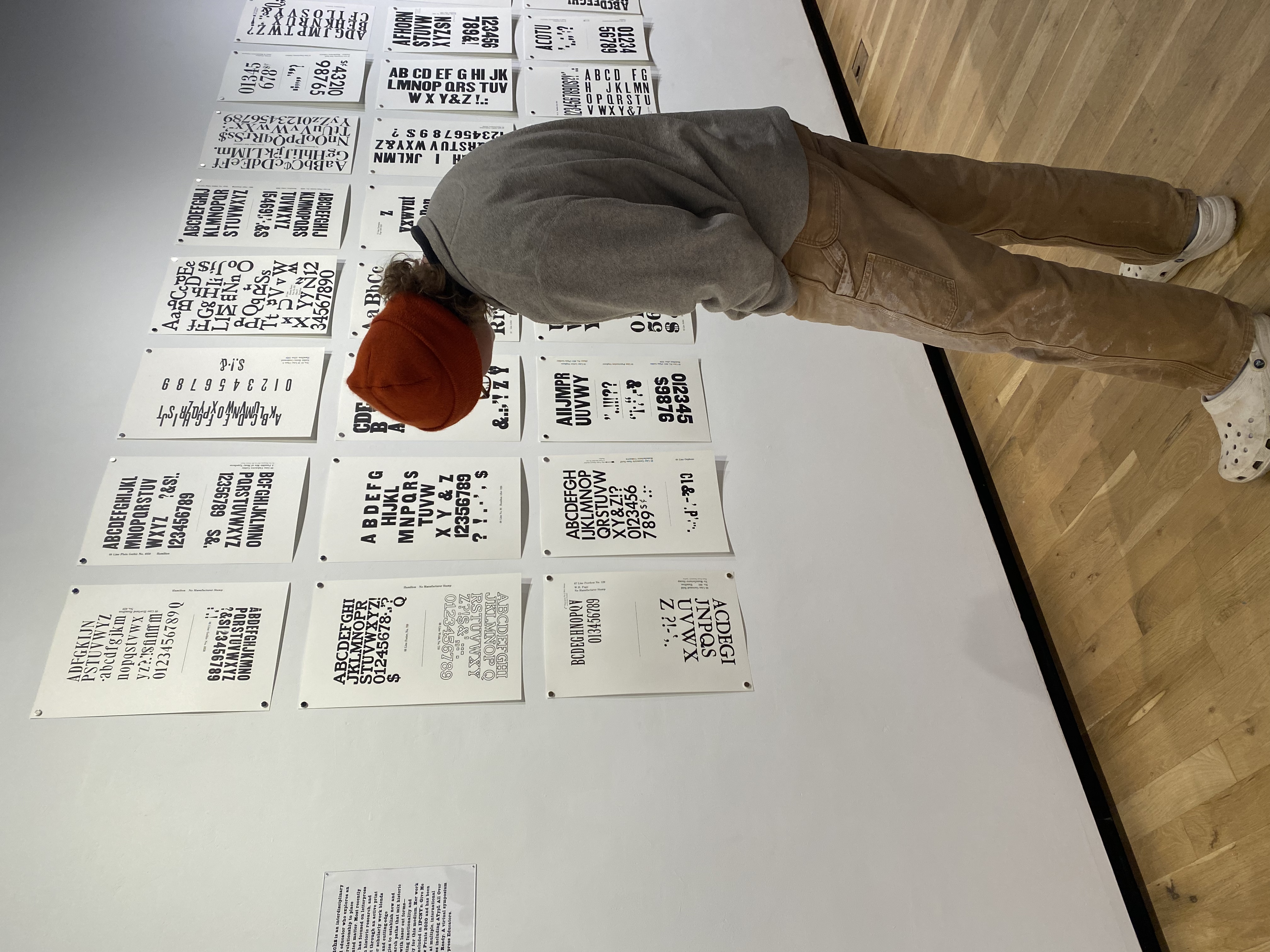 A visitor reading the specimen sheets on the gallery wall